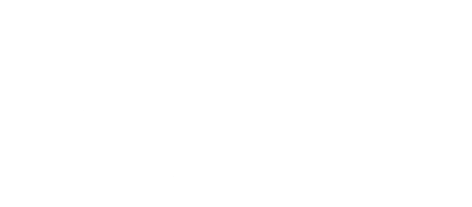 Nevada Legislature — State Airports Reference — official identity image
